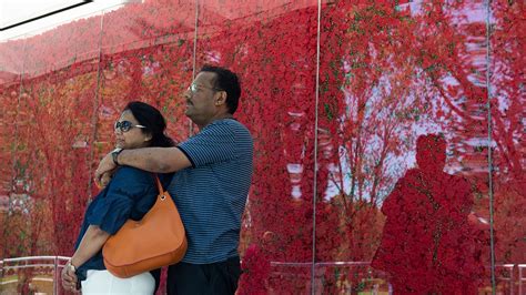 Memorial Day poppy flower display honors fallen veterans | Fox News