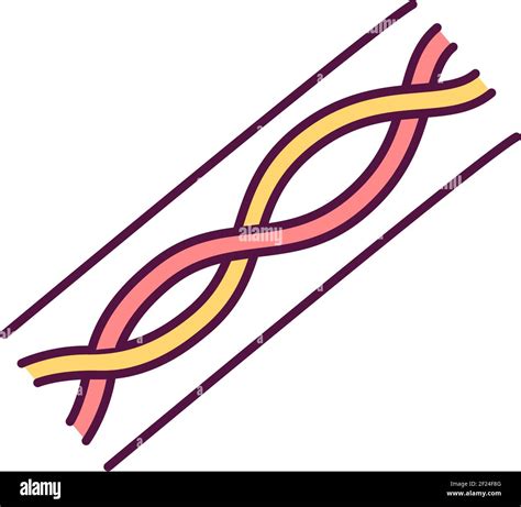 Colorize Birdflop 的图像结果