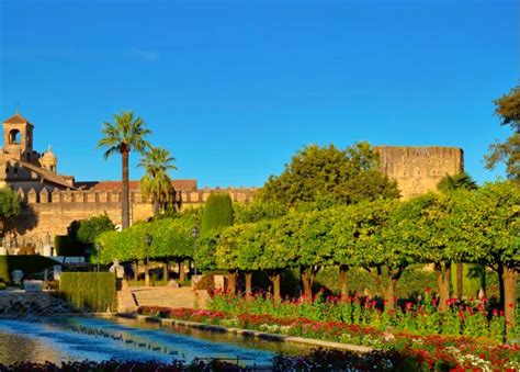 Image result for Spth Form Tutorial