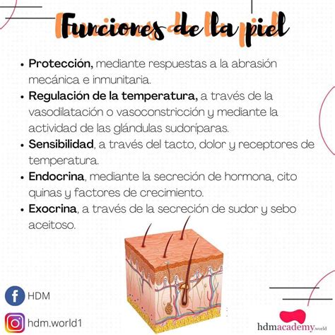 Estas Son Las Principales Enfermedades De La Piel Chapintv