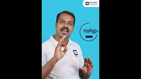 PSC Code Class 的图像结果