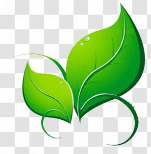 Earth Classical Element 的图像结果