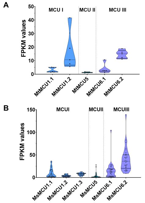 Genome-Wide Identification and Expression Profiling Analysis of the ...