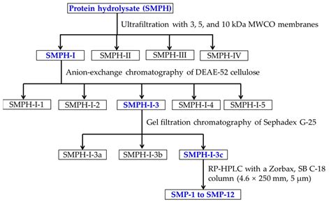 Antioxidant Peptides from the Protein Hydrolysate of Spanish Mackerel ...