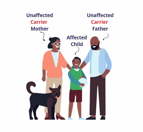 Image result for Haemoglobin Disorders