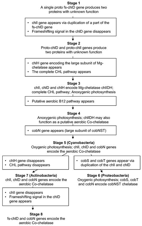 Translational Frameshifting in the chlD Gene Gives a Clue to the ...