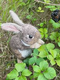 Image result for Easy Knitted Easter Bunny