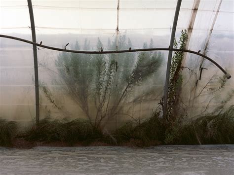 Review of the CONTAX 645 — Invernodreaming