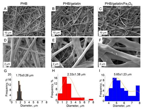 Core-Shell Magnetoactive PHB/Gelatin/Magnetite Composite Electrospun ...