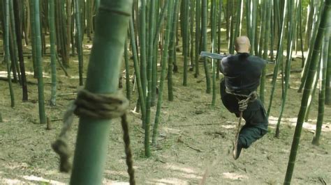 复仇大作：男主惨遭灭门，独自在竹林苦练双刀，随即展开大清洗_电影_高清完整版视频在线观看_腾讯视频