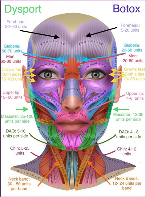 Beauty is an art form. Express yourself boldly and fearlessly. #BeautyTips #skincare #haircare # ...