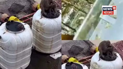 Indian Railways: স্টেশন থেকে চা খান? জল খান? কী চলে যাচ্ছে পেটে জানেন ...