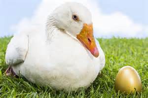 The Goose That Laid The Golden Egg Online | emergencydentistry.com