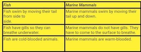 write a major difference between fishes and mammals - Brainly.in