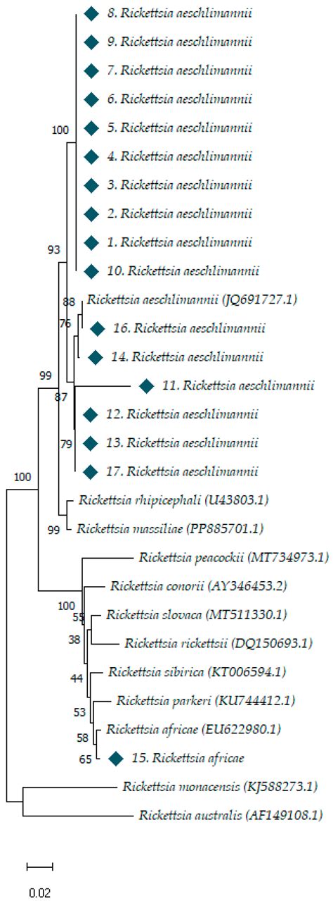 Ticks and Tick-Borne Pathogens in Wild Animals and Birds from Two ...