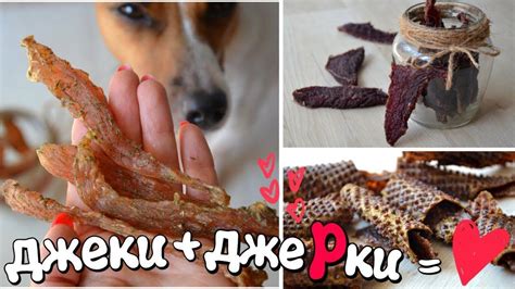 Лакомства для собак своими руками - 5 лучших идей