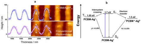 Fabrication of Functional Microdevices in SU-8 by Multi-Photon Lithography