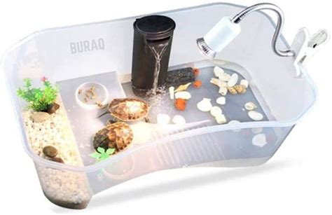 Fish Tank - Buy Fish Tank online at Best Prices in India | Flipkart.com