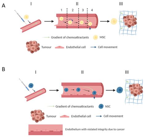 Biomedicines | Special Issue : Mechanisms and Therapeutic Potential of ...