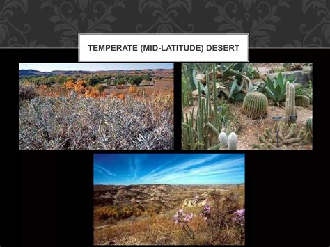 Ecosystem Type 的图像结果