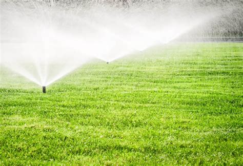 Image result for Sprinkler Accelerator