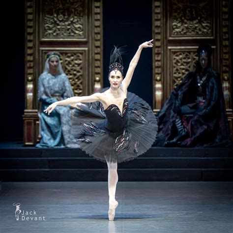 Black Swan Ballet Dancers PNB's 'Swan Lake' Review: Going Wild For