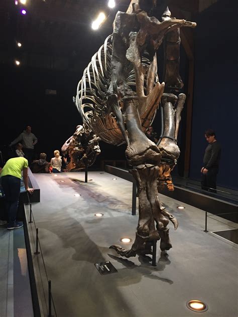Image result for Alert HelloWorld JavaScript