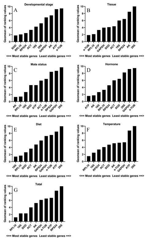 Selection and Evaluation of Reference Genes for qRT-PCR in Spodoptera ...