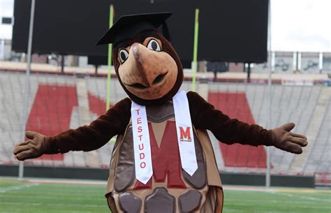 Maryland Today | Testudo, Meet Tuxedo