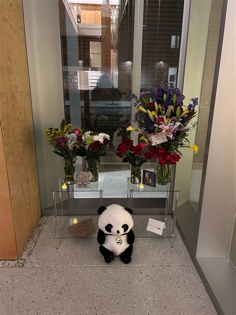 Remembering Knoxville's Nikki Giovanni: How to honor poet's legacy