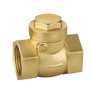» Brass Swing Check Valve