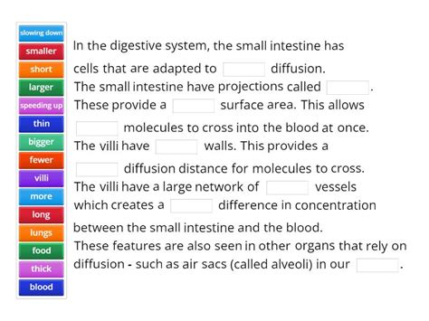 Image result for Diffusion Digestive System