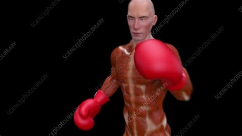 Image result for Boxer Engine Animation