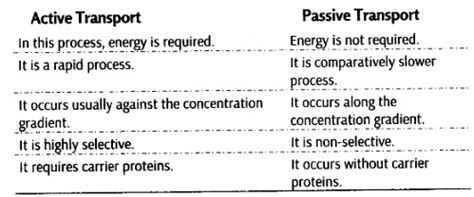 Notes Class 11 Biology Chapter 8 Cell The Unit of Life