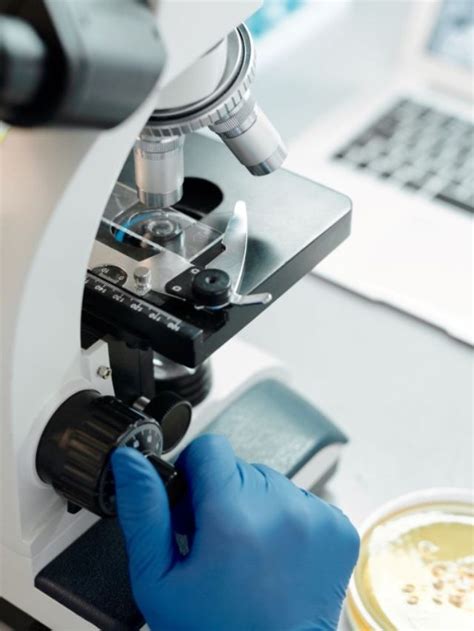 CUET UG 2024 Exam Application on Till Great 31 March 2024