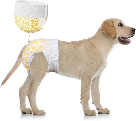 Amazon.com : Disposable Female Dog Diapers,Doggie Diapers with Stretchy ...