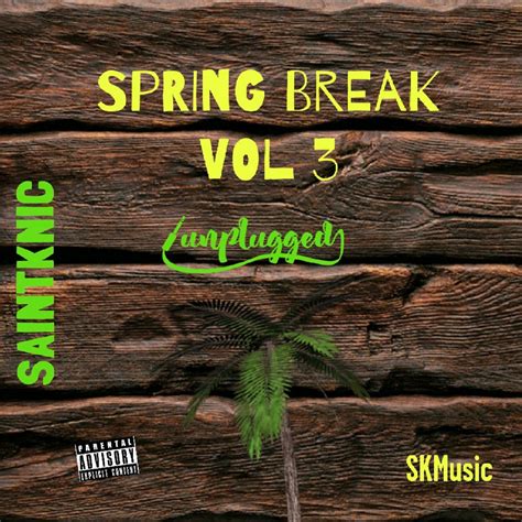 Image result for Endless Spring Break Vol. 2