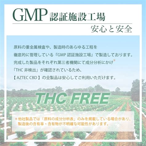 【AZTEC CBD〈ENTRY LINE〉】持ち運びCBDシーシャ 使い捨てVAPE CBD濃度25% テルペン配合 アイソレート ...