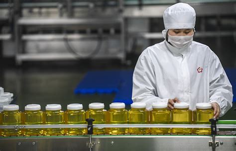 廊坊经济技术开发区打造蜂产品加工基地_图片新闻_中国政府网
