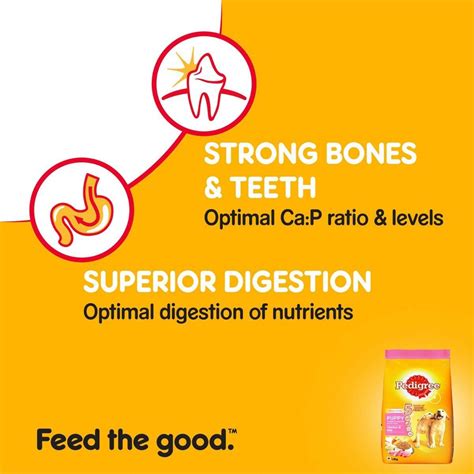Pedigree Puppy Dog Food With Chicken & Milk, 400 gm Price, Uses, Side ...