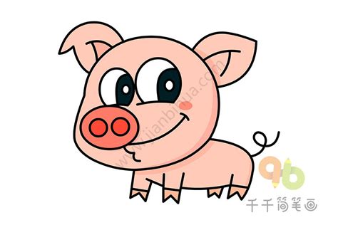 得意的小猪猪简笔画怎么画_陆地动物视频