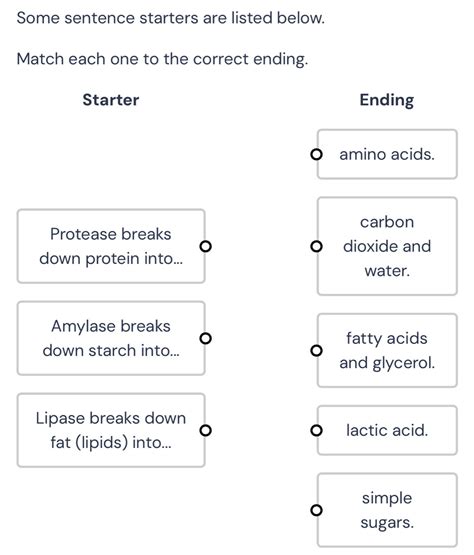 Solved: Some sentence starters are listed below. Match each one to the ...