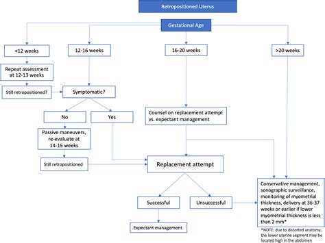 Incarcerated gravid uterus: a new treatment using the transvaginal ...