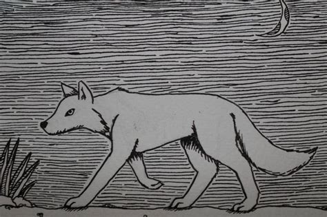 Image result for Ink Drawing RPG Wolf