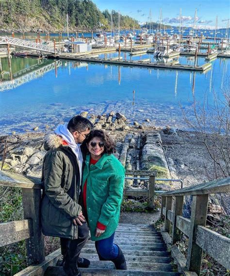 Image result for Salt Spring Tutorial Lfiddle