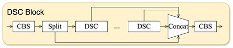 DHS-YOLO: Enhanced Detection of Slender Wheat Seedlings Under Dynamic ...