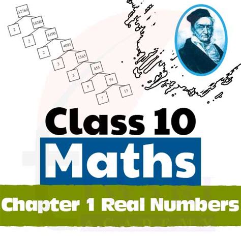 Class 10th Maths Lesson 1 的图像结果