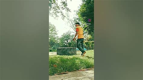 Flipper Stunt 的图像结果