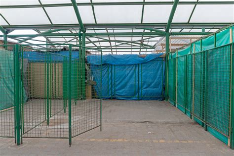 Market Stallbooth 的图像结果