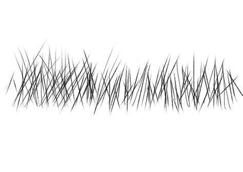 Drawing Texture Examples 的图像结果